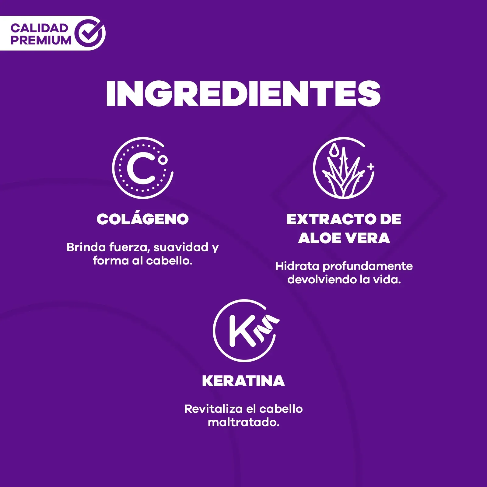 Crema de Peinar Dual Reparación – La pocion