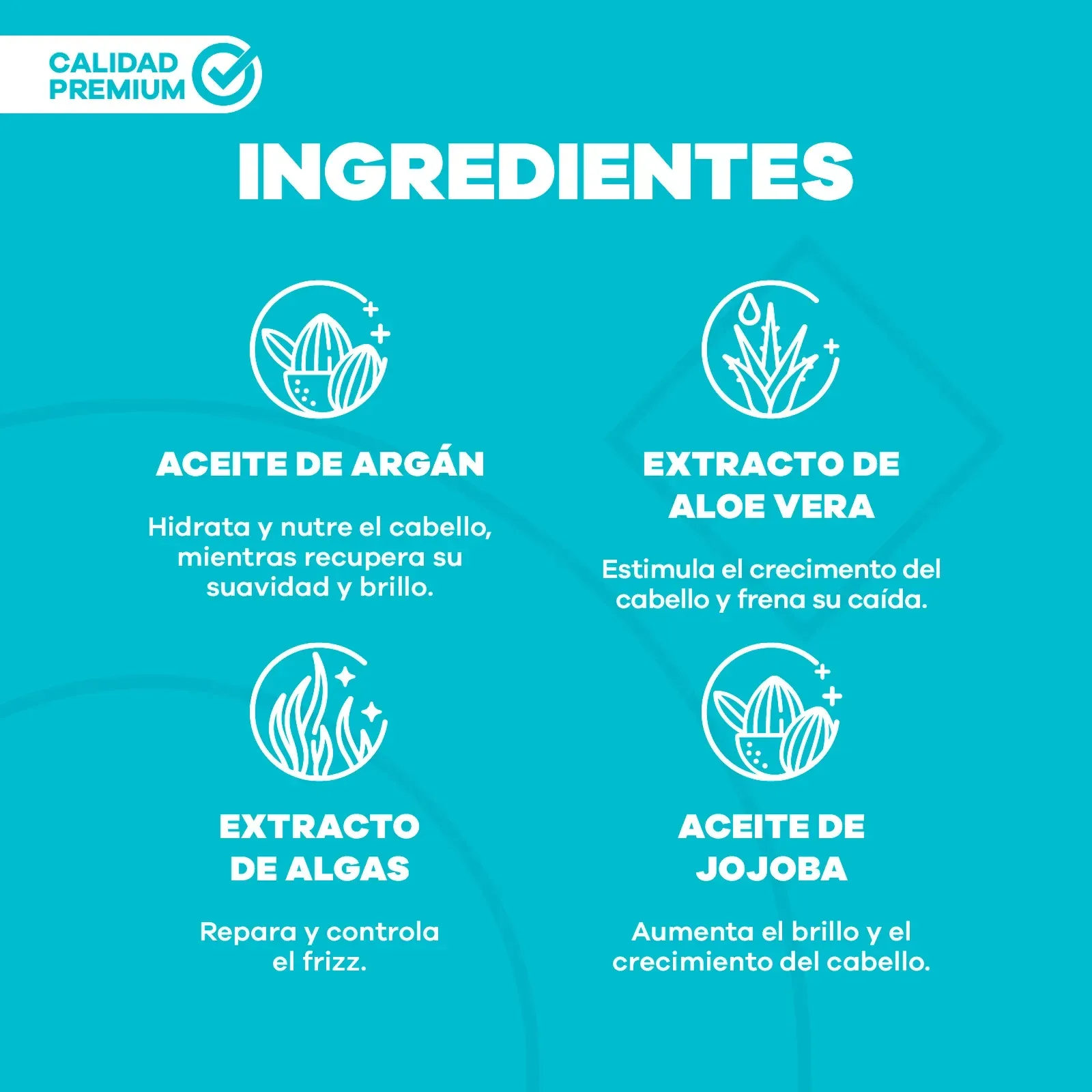 Shampoo Reparación – La pocion