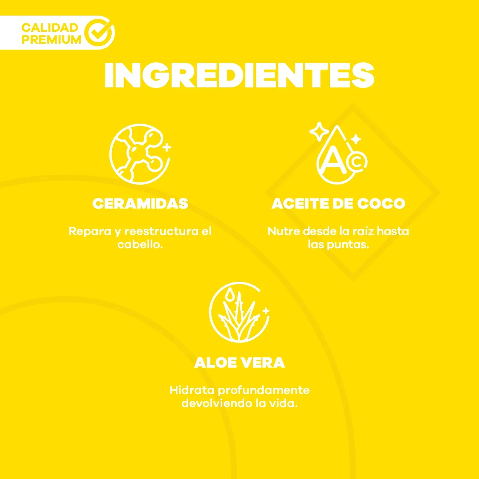 Shampoo Rizos Tongolé – La pocion